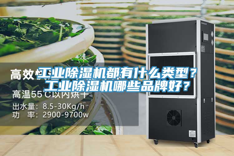 工業(yè)除濕機都有什么類型？工業(yè)除濕機哪些品牌好？