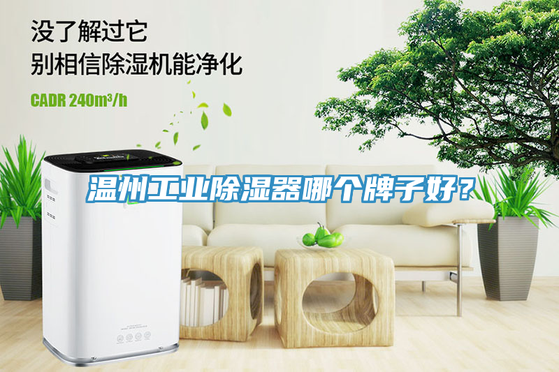 溫州工業(yè)除濕器哪個(gè)牌子好？