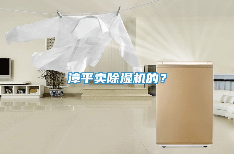 漳平賣除濕機的？