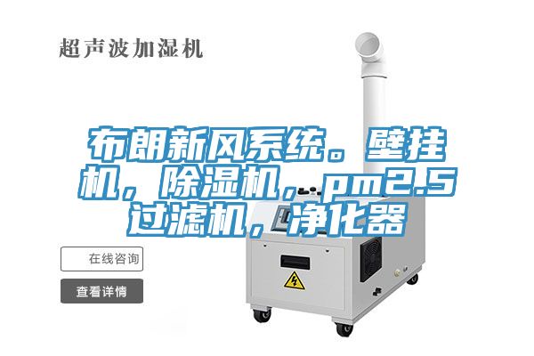 布朗新風(fēng)系統(tǒng)。壁掛機(jī)，除濕機(jī)，pm2.5過(guò)濾機(jī)，凈化器