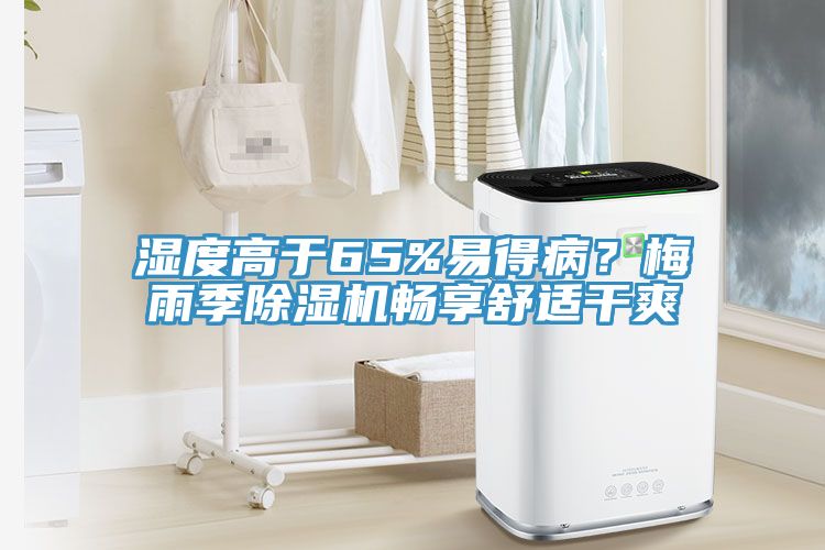 濕度高于65%易得病？梅雨季除濕機暢享舒適干爽
