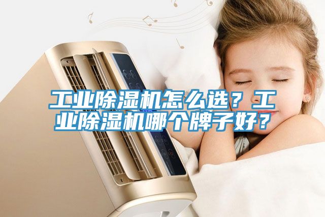 工業(yè)除濕機(jī)怎么選？工業(yè)除濕機(jī)哪個(gè)牌子好？