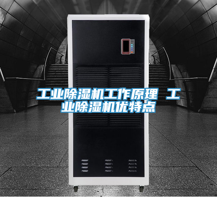 工業(yè)除濕機(jī)工作原理 工業(yè)除濕機(jī)優(yōu)特點