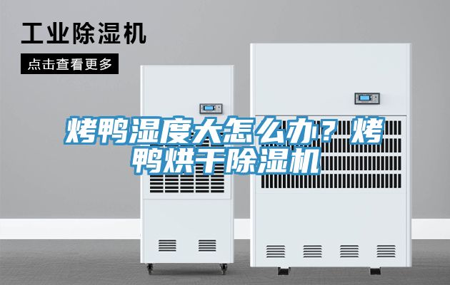 烤鴨濕度大怎么辦？烤鴨烘干除濕機(jī)