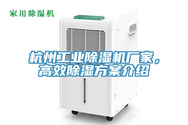 杭州工業(yè)除濕機(jī)廠家，高效除濕方案介紹