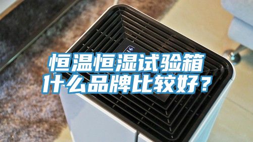 恒溫恒濕試驗(yàn)箱什么品牌比較好？