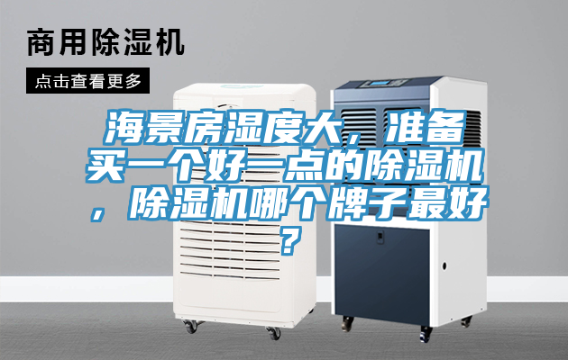 海景房濕度大，準備買一個好一點的除濕機，除濕機哪個牌子最好？