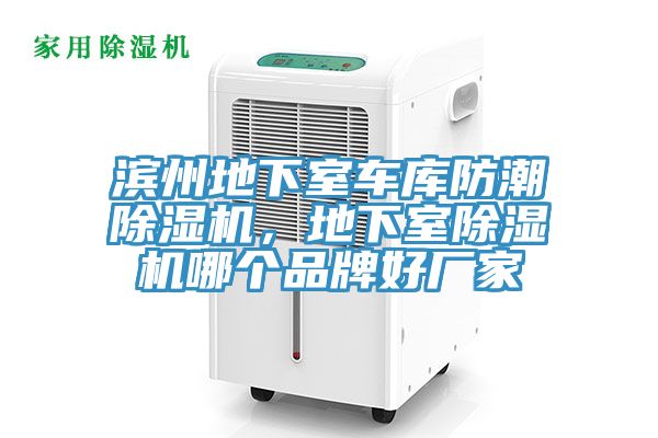 濱州地下室車庫防潮除濕機，地下室除濕機哪個品牌好廠家