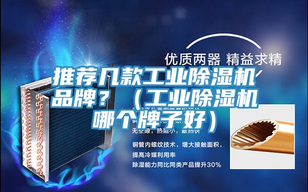 推薦幾款工業(yè)除濕機(jī)品牌？（工業(yè)除濕機(jī)哪個牌子好）