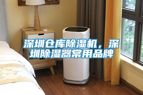 深圳倉庫除濕機，深圳除濕器常用品牌