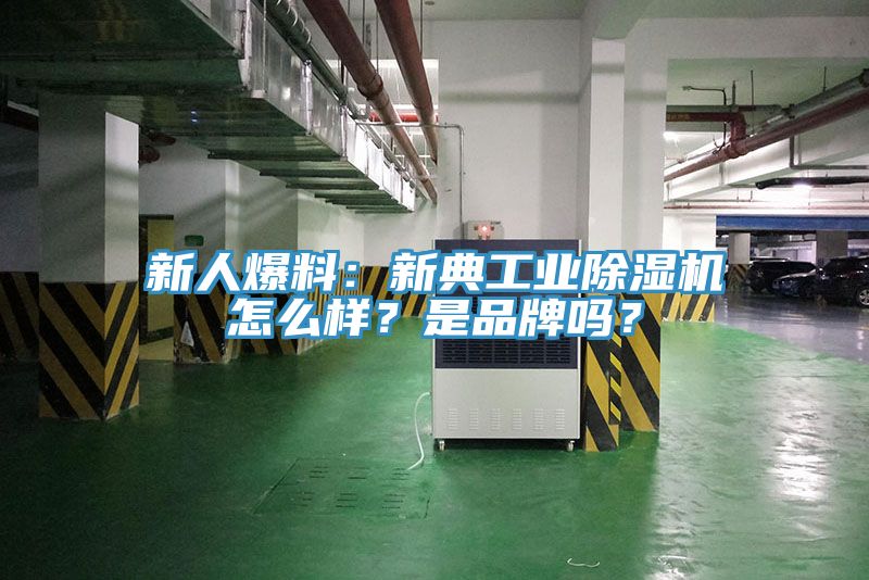 新人爆料：新典工業(yè)除濕機(jī)怎么樣？是品牌嗎？