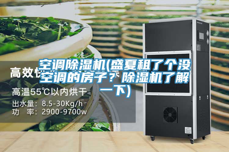 空調(diào)除濕機(盛夏租了個沒空調(diào)的房子？除濕機了解一下)