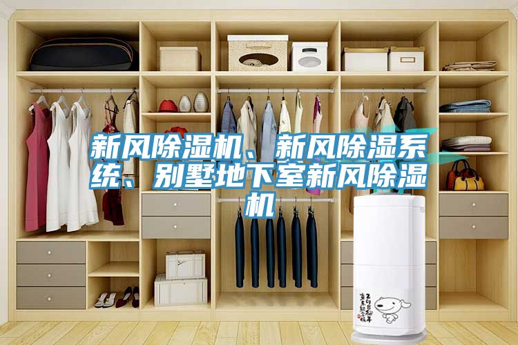 新風(fēng)除濕機(jī)、新風(fēng)除濕系統(tǒng)、別墅地下室新風(fēng)除濕機(jī)
