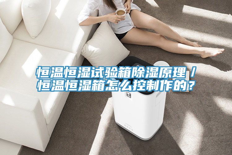 恒溫恒濕試驗箱除濕原理／恒溫恒濕箱怎么控制作的？