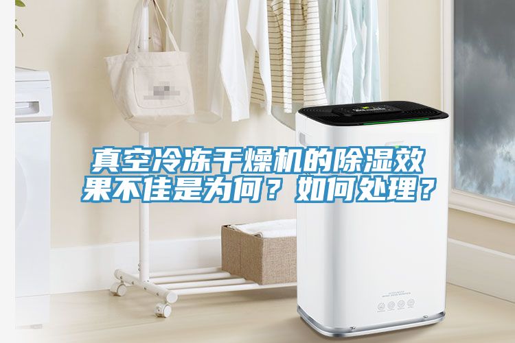 真空冷凍干燥機的除濕效果不佳是為何？如何處理？