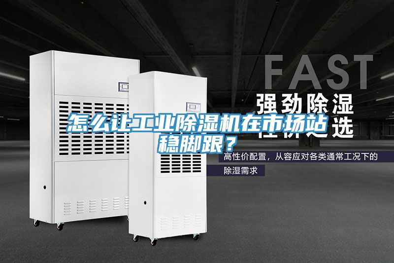怎么讓工業(yè)除濕機(jī)在市場(chǎng)站穩(wěn)腳跟？