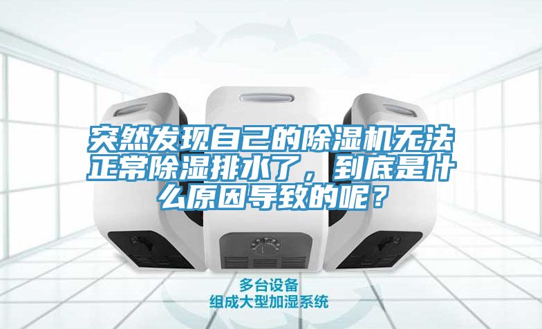 突然發(fā)現(xiàn)自己的除濕機無法正常除濕排水了，到底是什么原因?qū)е碌哪兀?></div>
								<div   id=