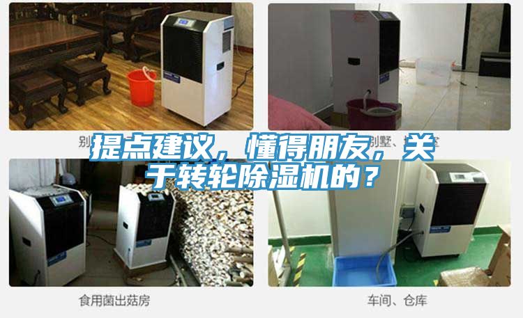 提點(diǎn)建議，懂得朋友，關(guān)于轉(zhuǎn)輪除濕機(jī)的？