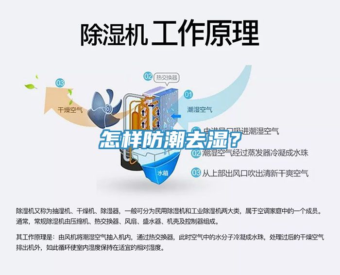 怎樣防潮去濕？
