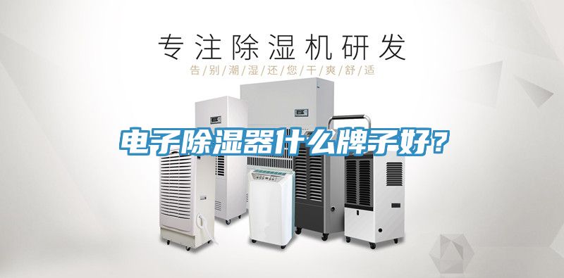 電子除濕器什么牌子好？