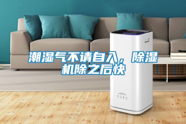 潮濕氣不請(qǐng)自入，除濕機(jī)除之后快