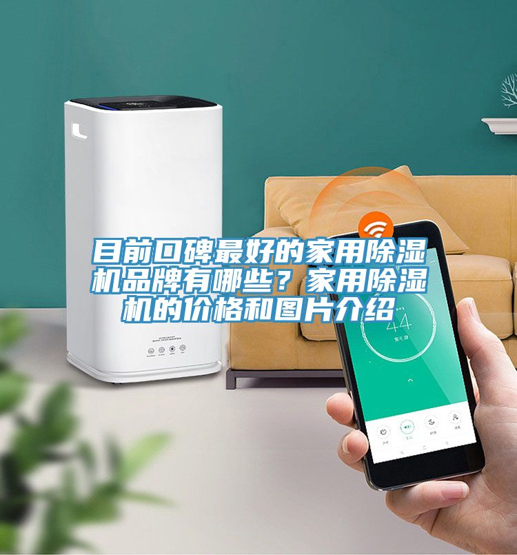 目前口碑最好的家用除濕機品牌有哪些？家用除濕機的價格和圖片介紹