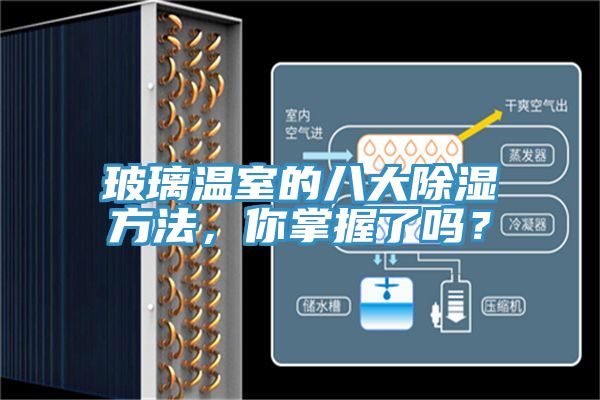 玻璃溫室的八大除濕方法，你掌握了嗎？