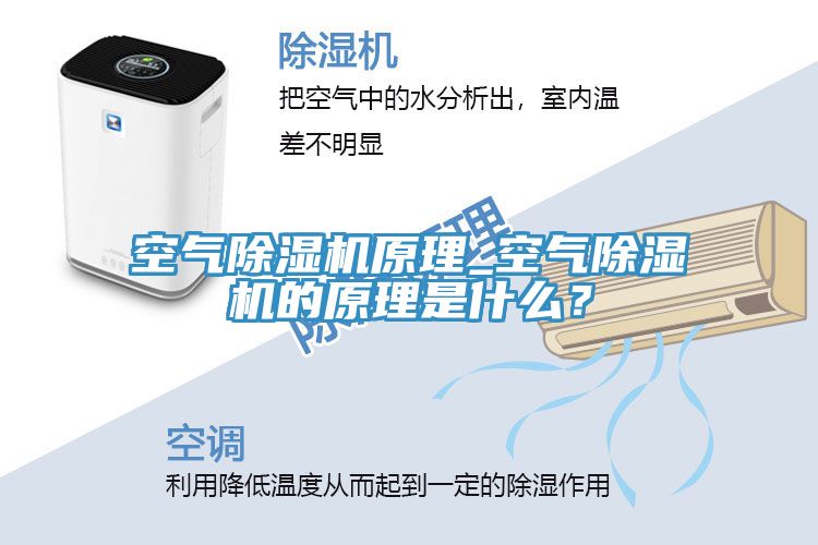 空氣除濕機原理_空氣除濕機的原理是什么？