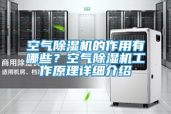 空氣除濕機(jī)的作用有哪些？空氣除濕機(jī)工作原理詳細(xì)介紹