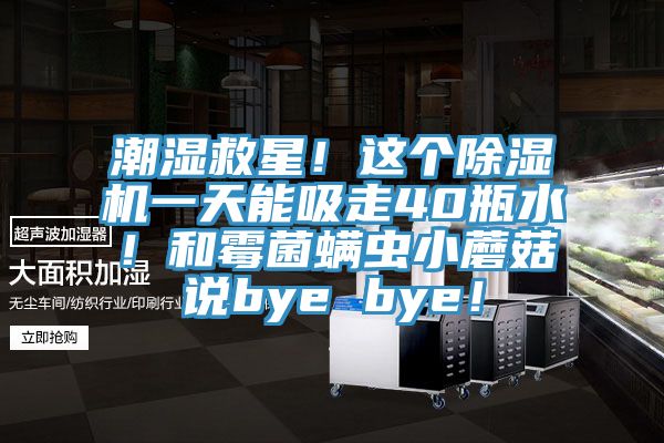 潮濕救星！這個除濕機一天能吸走40瓶水！和霉菌螨蟲小蘑菇說bye bye！