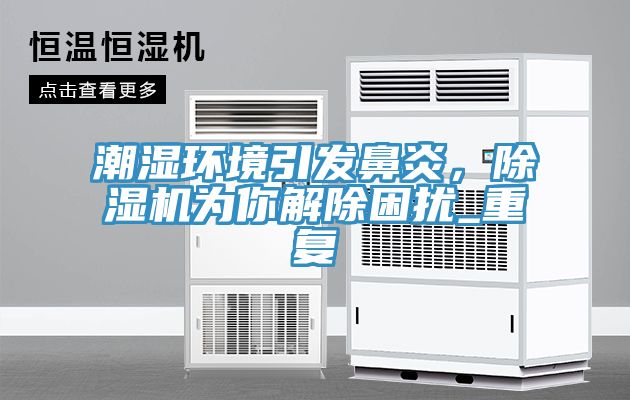 潮濕環(huán)境引發(fā)鼻炎，除濕機(jī)為你解除困擾_重復(fù)