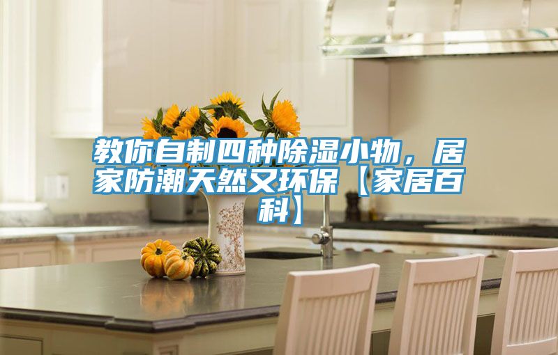 教你自制四種除濕小物，居家防潮天然又環(huán)?！炯揖影倏啤?></div>
								<div   id=