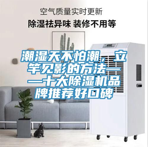 潮濕天不怕潮，立竿見影的方法——十大除濕機品牌推薦好口碑