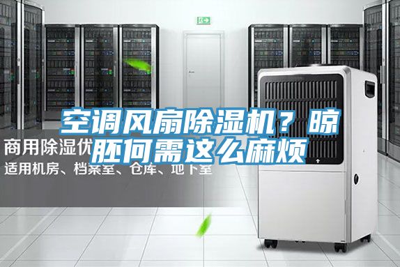 空調(diào)風(fēng)扇除濕機？晾胚何需這么麻煩