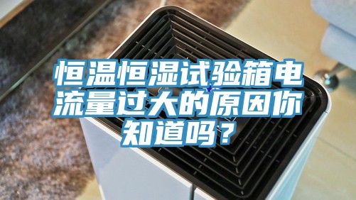 恒溫恒濕試驗(yàn)箱電流量過大的原因你知道嗎？