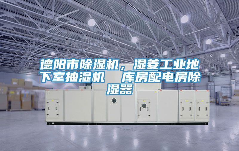 德陽市除濕機(jī)，濕菱工業(yè)地下室抽濕機(jī)  庫房配電房除濕器
