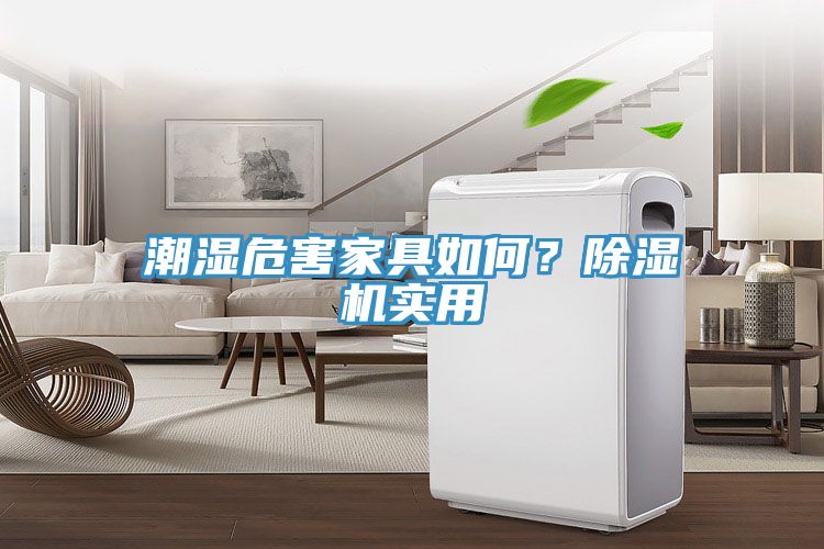 潮濕危害家具如何？除濕機實用