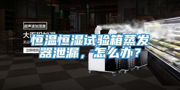恒溫恒濕試驗箱蒸發(fā)器泄漏，怎么辦？