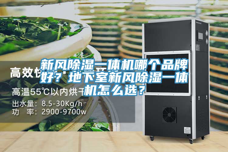 新風(fēng)除濕一體機哪個品牌好？地下室新風(fēng)除濕一體機怎么選？