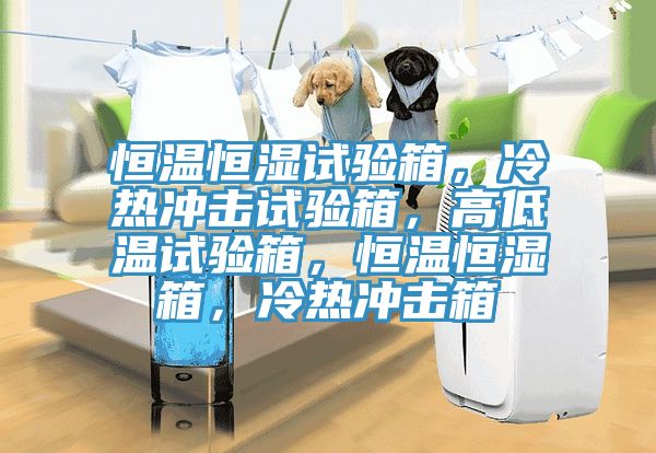 恒溫恒濕試驗(yàn)箱，冷熱沖擊試驗(yàn)箱，高低溫試驗(yàn)箱，恒溫恒濕箱，冷熱沖擊箱