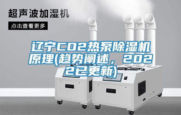 遼寧CO2熱泵除濕機原理(趨勢闡述，2022已更新)