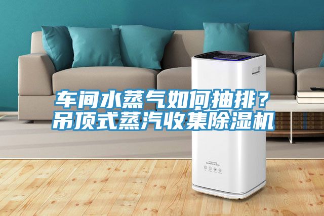車間水蒸氣如何抽排？吊頂式蒸汽收集除濕機