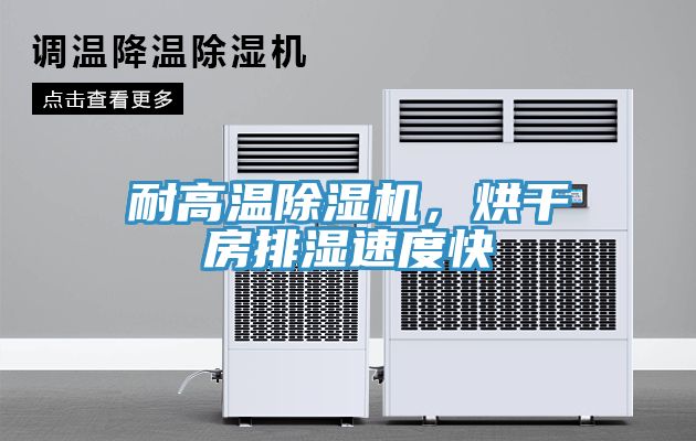 耐高溫除濕機(jī)，烘干房排濕速度快