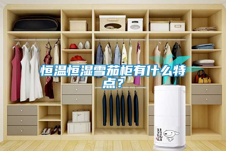 恒溫恒濕雪茄柜有什么特點(diǎn)？