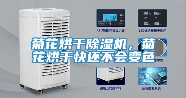 菊花烘干除濕機(jī)，菊花烘干快還不會(huì)變色