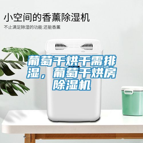 葡萄干烘干需排濕，葡萄干烘房除濕機