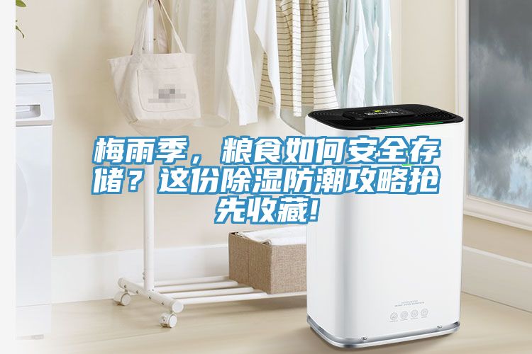 梅雨季，糧食如何安全存儲(chǔ)？這份除濕防潮攻略搶先收藏!