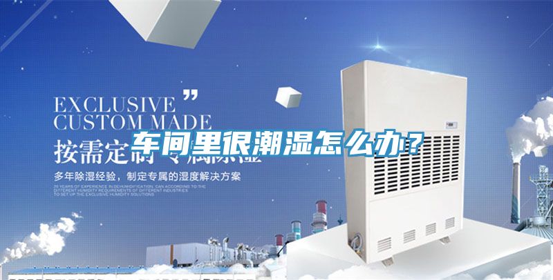 車間里很潮濕怎么辦？