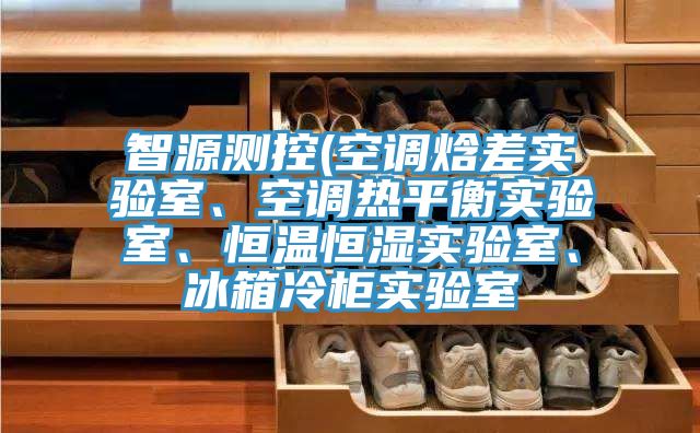 智源測(cè)控(空調(diào)焓差實(shí)驗(yàn)室、空調(diào)熱平衡實(shí)驗(yàn)室、恒溫恒濕實(shí)驗(yàn)室、冰箱冷柜實(shí)驗(yàn)室