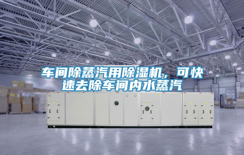 車間除蒸汽用除濕機，可快速去除車間內(nèi)水蒸汽